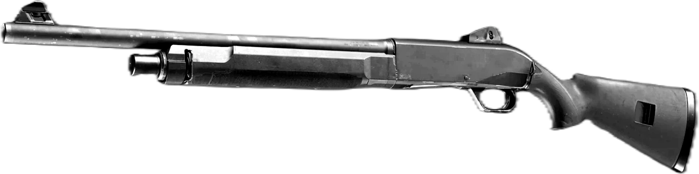 Rezi 12